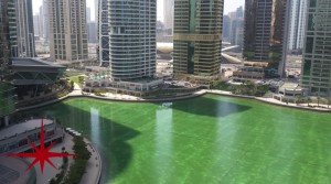 Chiller Free|1BR Apt |with Balcony|Lake View