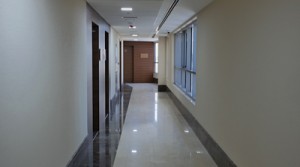 Dubai Silicon Oasis, Shell and core offices for lease in an Iconic building with easy access