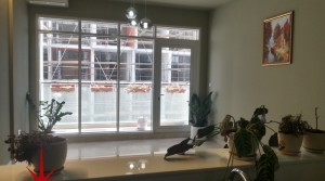Silicon Oasis, Pay in Instalments After Completion in May 2016, Flexible Down Payment Option