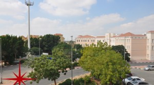 International City, Studio in 1 Cheque, Italy Cluster With Community View