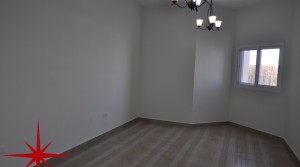 Brand New Spacious 1 BR Apt with Community View