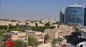 1 BR Apt with Balcony and Community View