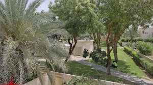 Springs 7, 2 BR Townhouse With Park And Pool View