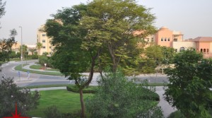 Live in a Peaceful Community Close to Dubai Creek and Festival City