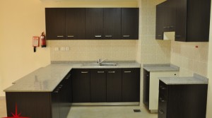Spacious 1 BR with Huge Terrace