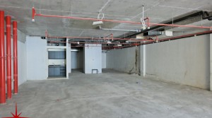Shell and Core Retail with Lake View