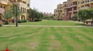 2 BR Apt with Community Views