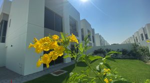 Umm Suqeim 1 Villa | 5 BR | Community View
